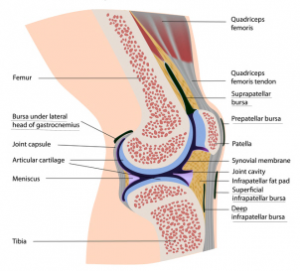 treatment for knee bursitis