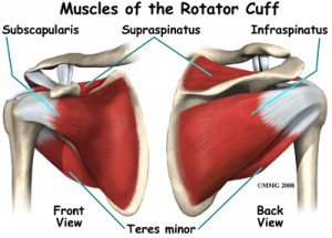 rotator cuff injury